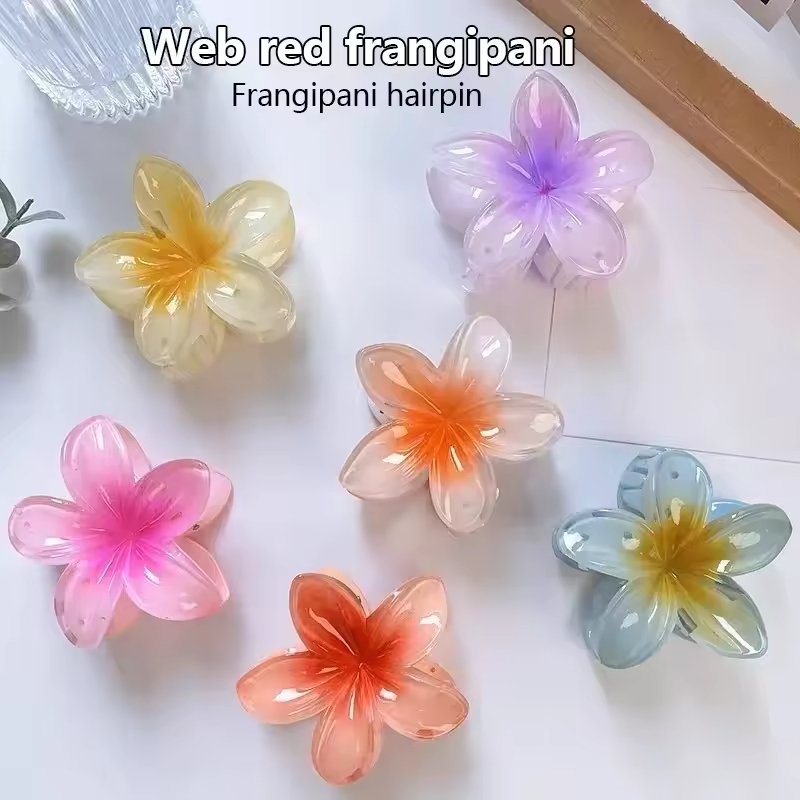  Bohemia Large Flower Acrylic - Women'S Accessories Accessorize 评论和价格